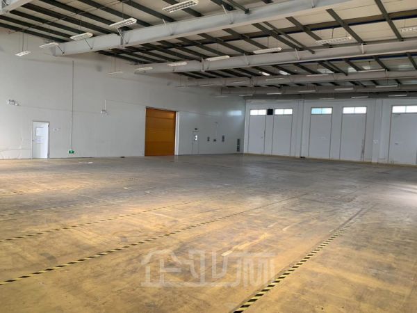 嘉定华亭镇独门独院单层厂房出租面积4000平,形象好,配有办公楼