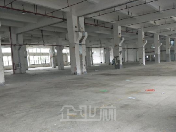 出租:嘉定南翔陈翔路厂房 1800平 多层 环氧地坪