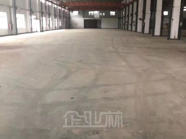 出租:金山枫泾镇104板块8米层高2300平厂房