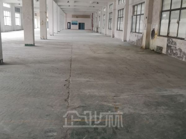 出租:松江新桥独门独院104板块1500平厂房