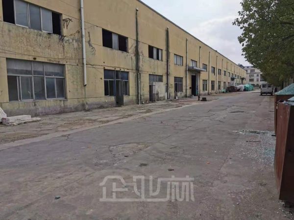 奉贤7000平单层厂房对外出租 租金1.1元/天/平米