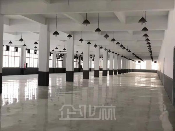 出租:松江新桥104板块800平厂房 可分割