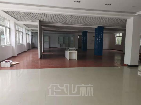 浦东宣桥镇现有1170平方厂房出租,适合仓储办公组装,有升降梯