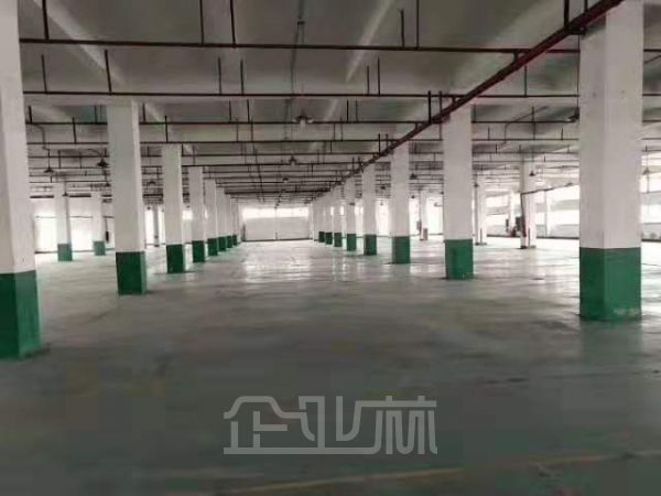 浦东曹路现有厂房仓库3楼4000平出租,层高5米,104板块包办环评,精装办公室