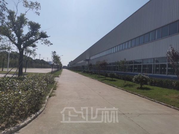 临港 104板块单层厂房2500平 高度8米