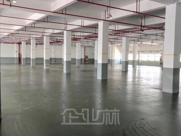 松江漕河泾配套生产型厂房有消防喷淋底楼1500平 可办环评