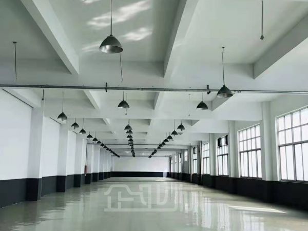 出租:松江新桥新格路厂房 800平 多层 行业不限