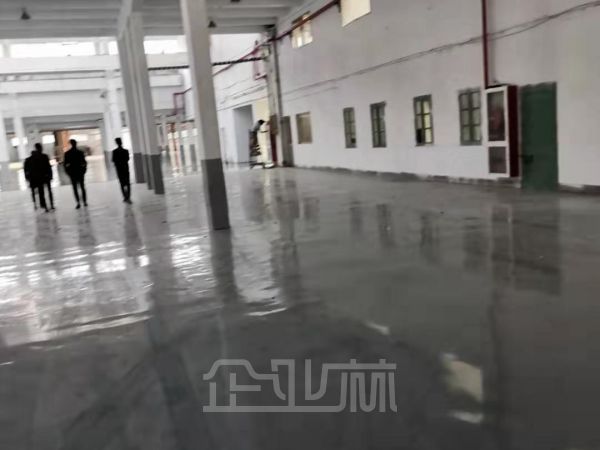 杨浦10000平单层厂房对外出租 租金1.6元/天/平米