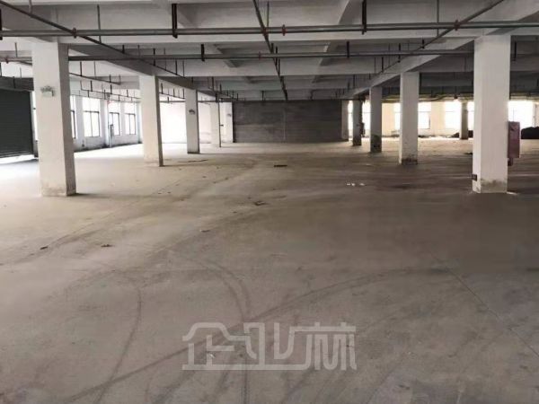 宿迁泗洪6000平多层厂房对外出租 租金7元/月/平米