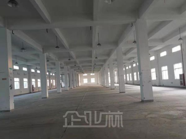 出租青浦5000平独栋双层厂房
