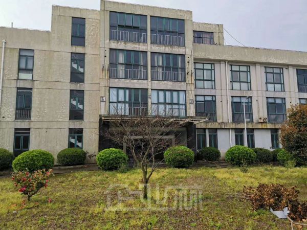 奉贤奉城镇104地块独门独院厂房出租面积12800平,形象好,空地大