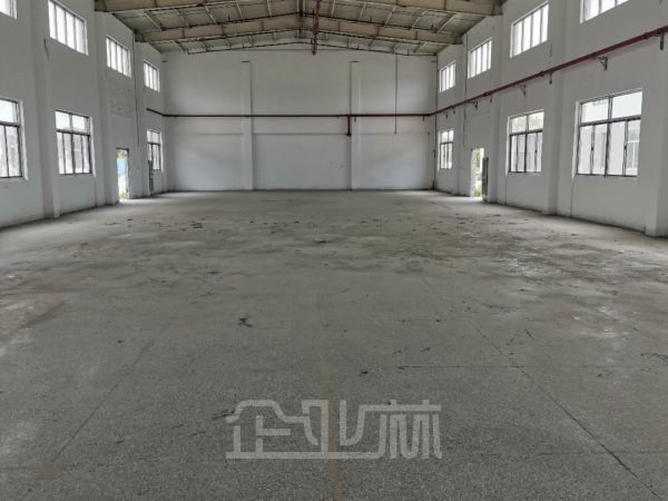 泗泾1100平独栋单层标准厂房对外出售 报价12800元/平米