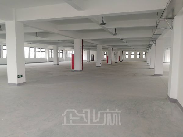 青浦重固崧华路原房东 无公摊面积环境好 园区场地大 停车位充足 面积可分割