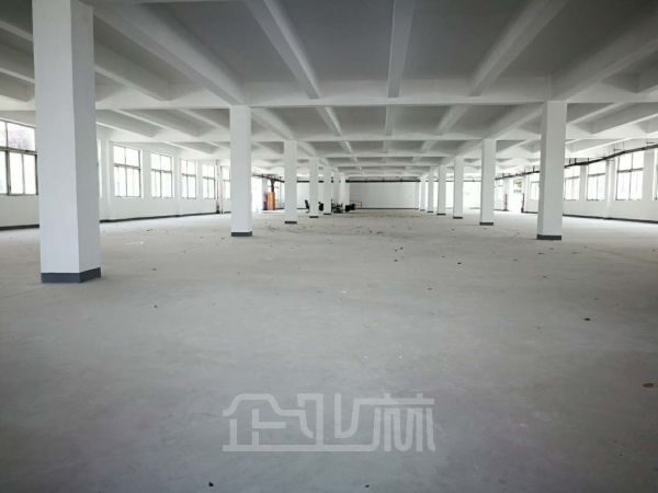 出租松江工业区独门独院双层2000平厂房