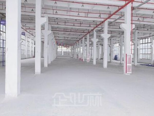 松江(新桥)104版块单层厂房5000平米 /可分割
