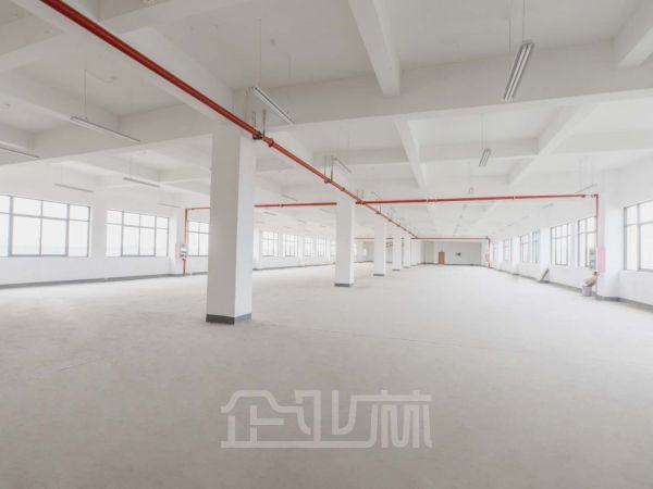 松江大港 出租10000平方米厂房 可分割 104板块 可注册 可环评
