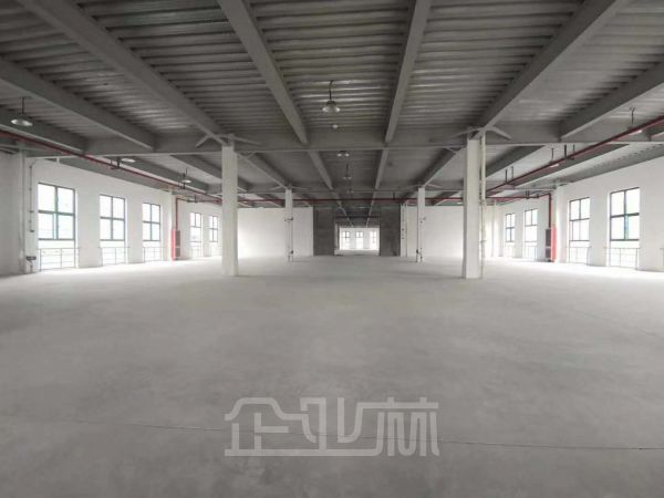 出售丨全新现房松江独栋多层厂房,生产研发办公 可架行车