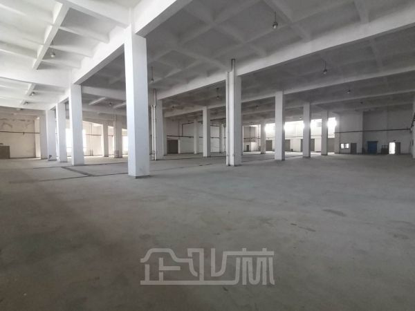 金山朱泾 出租10000平方米 双层厂房 104地块