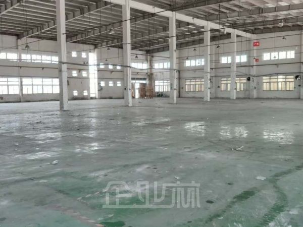 松江泖港单层一局二火车头厂房出租面积4800平,层高11米