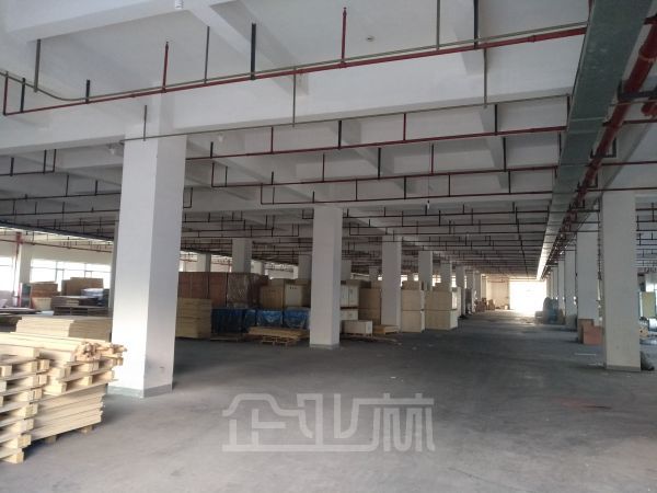 上海闵行吴泾新华科技3号楼出租