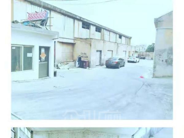 奉城洪庙(木托盘,道具无油漆行业)厂房出租
