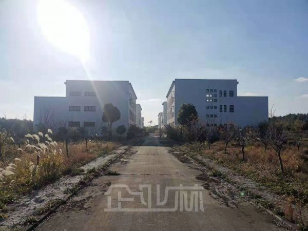 出租嘉定徐行独门独院175亩 休闲文旅 科教 创新用地