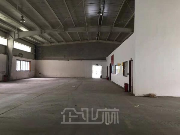 出租松江单层厂房 无立柱 大房东 无公摊面积