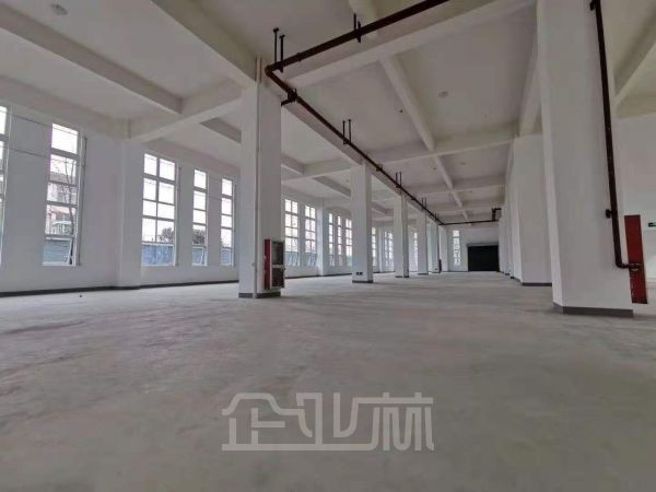 出租 嘉定外冈2400平独门独院单层厂房 104地块 通道宽敞 交通便利