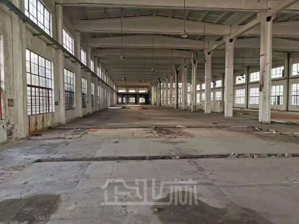 出租松江单层厂房 可做酒店展厅教育培训运动场馆等