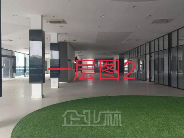 浦东外高桥保税区独门独院2300平办公楼出租