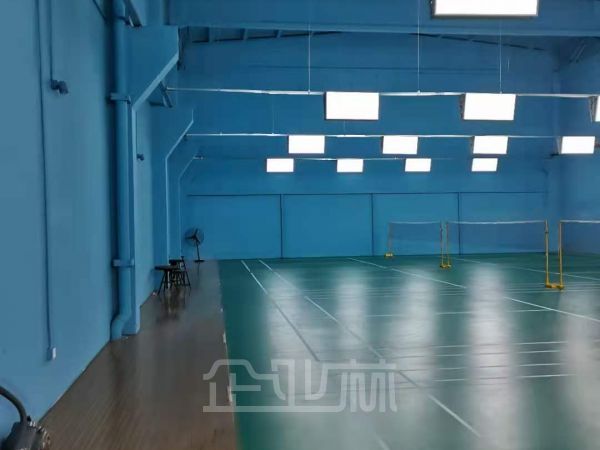出租松江文体中心 体育文化艺术培训娱乐休闲等