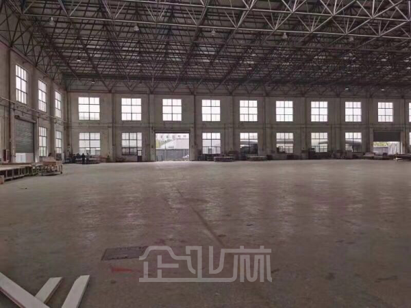 出租新桥8000平单层厂房 高12米 可做影视食品研发生产