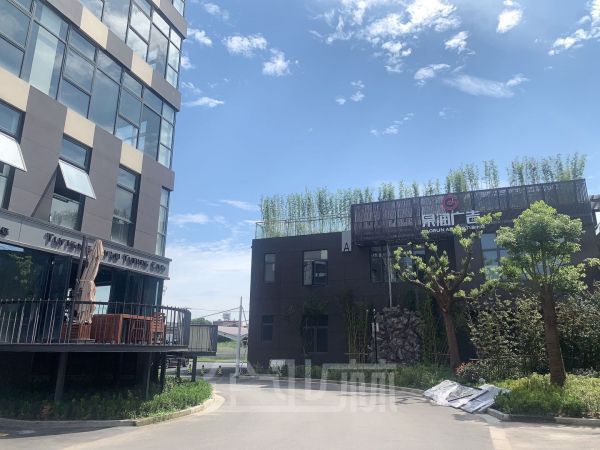出租江桥1600独栋总部办公楼 独院带天然气 送花园