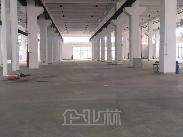 松江泗泾镇泗砖公路出租2000平层高11米