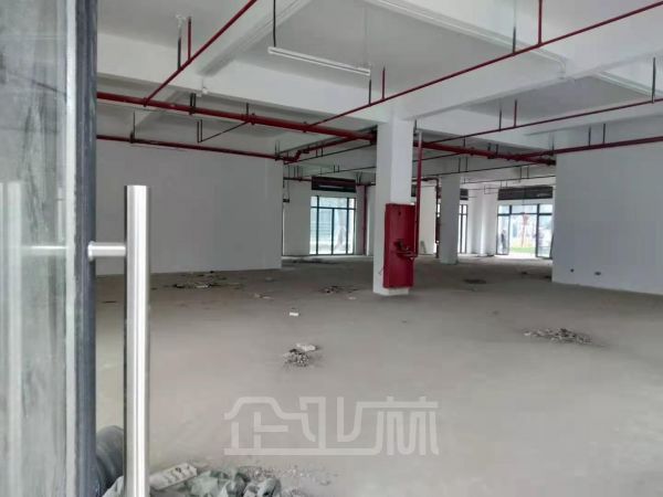 出租奉贤独栋2400平 纯玻璃幕墙 价格优惠 免租长