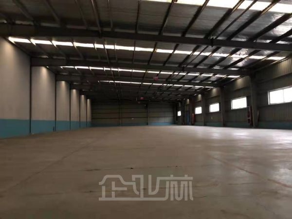 出租颛桥3000平单层厂房 可分割 仓储电商物流行业 价格美丽