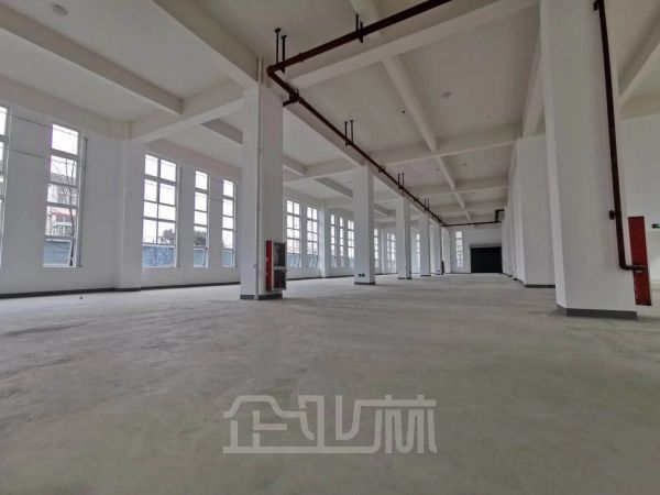 出租马桥2000平厂房 近5号线地铁 200平起租 配套齐全