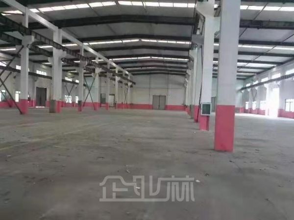 出租临港23000平厂房 电6000kv 场地大 无税收要求