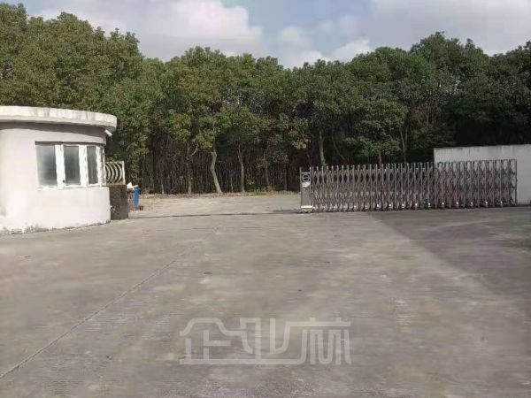 出租叶榭2800平厂房 独门独院 5吨行车 送空地3500平