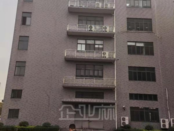 出租 松江车墩104板块多层厂房 每层1400平 层高6米