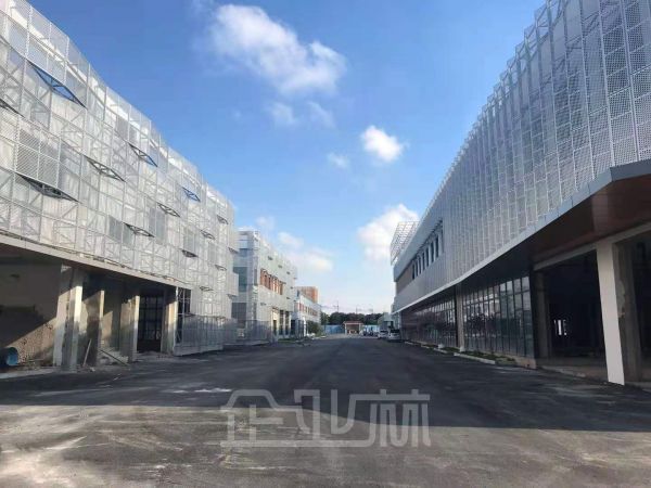 出租泗泾56000平厂房 单双层结构 靠近九亭交通便捷