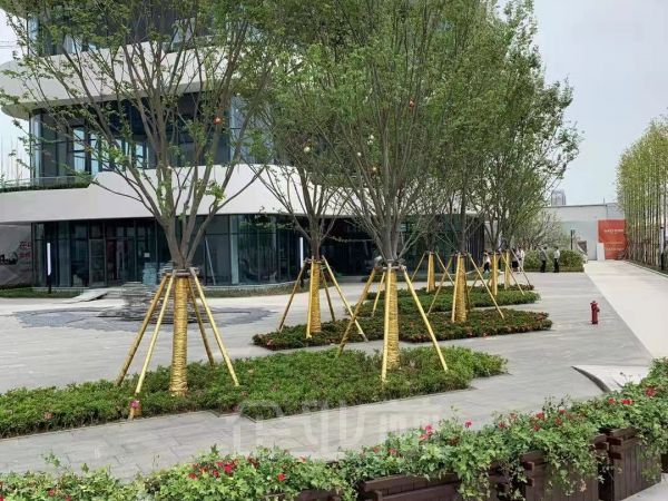 出售 苏州吴江区600-1200平花园式办公楼