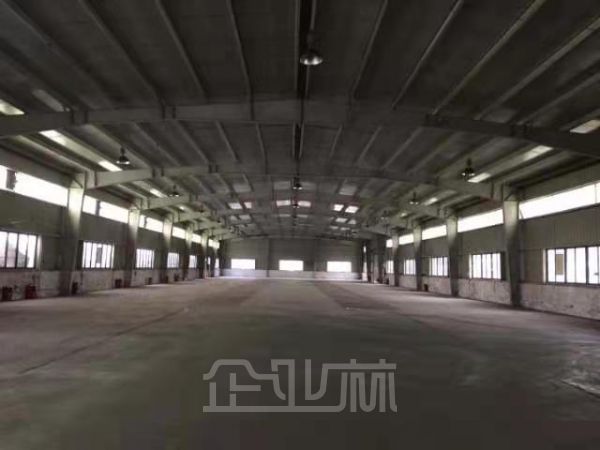 出租新桥厂房1300平 无立柱无公摊 高6米 含税
