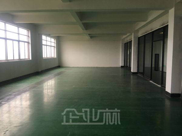 出租新桥厂房1300平 大房东直租 价格便宜 门口有轨电车