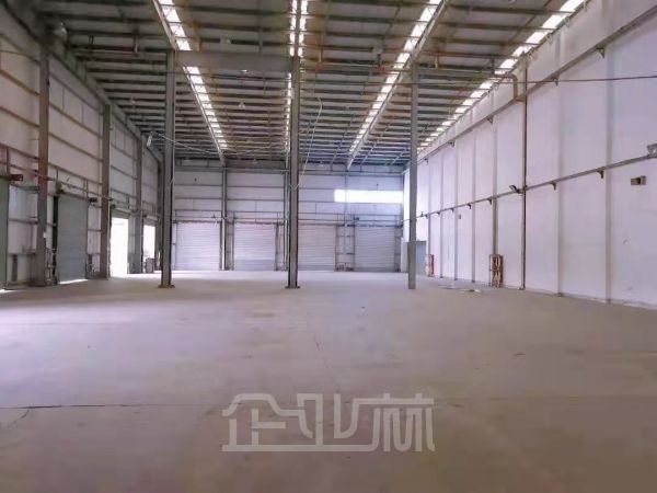 九亭高平台库出租 2800平 高10米 场地大