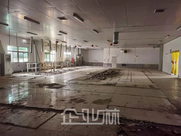 出租 松江李塔汇2400单层火车头厂房 无立柱 104地段
