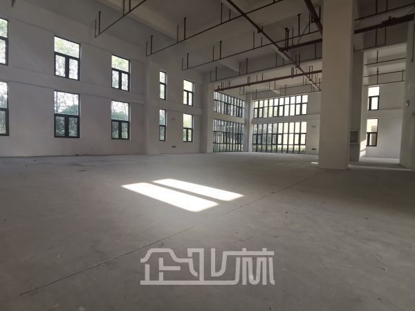 出售 奉贤区浦星公路2000~5597平小面积独幢/双拼厂房 104地段 层高7.2米