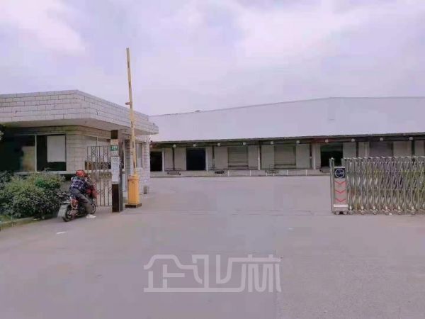 出租 松江九亭久富路2056平标准单层厂房 层高13米 带部分雨棚
