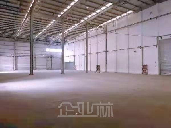 出租九亭高平台物流厂房2850平 高10米 大车好进