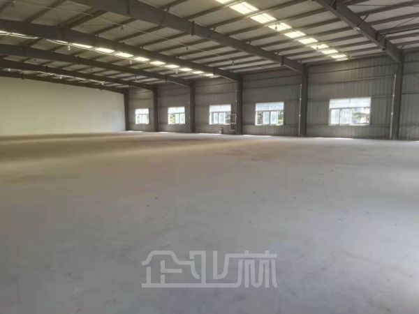 出租 闵行颛桥元江路4500平独栋单层厂房 层高11.5米 104地段 无立柱